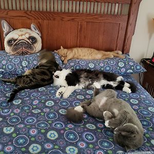 christinakempf avatar