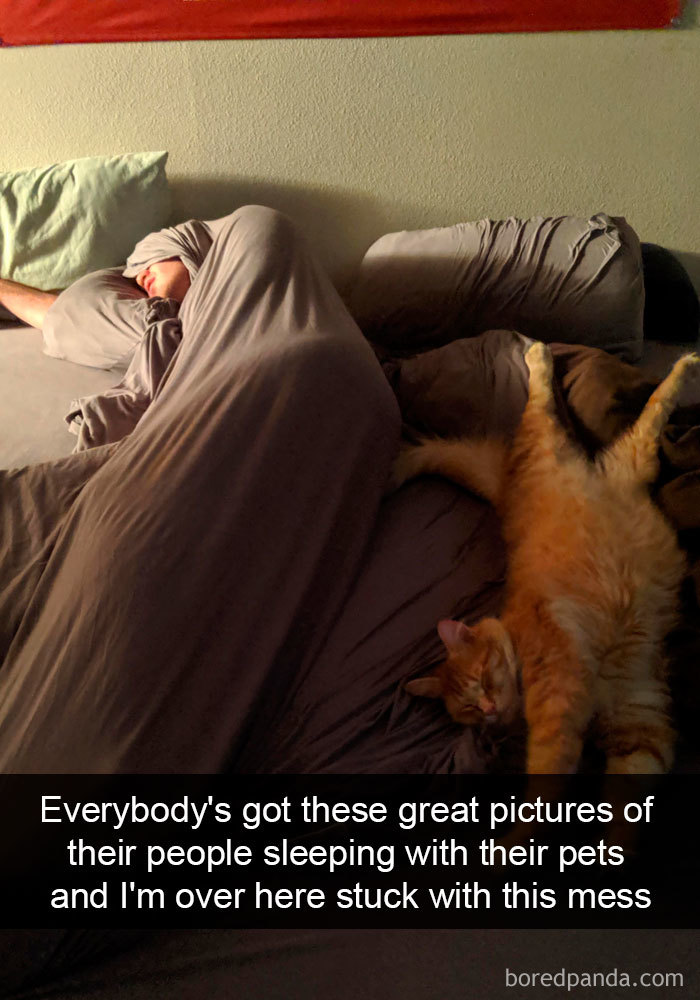 Cat-Snapchats