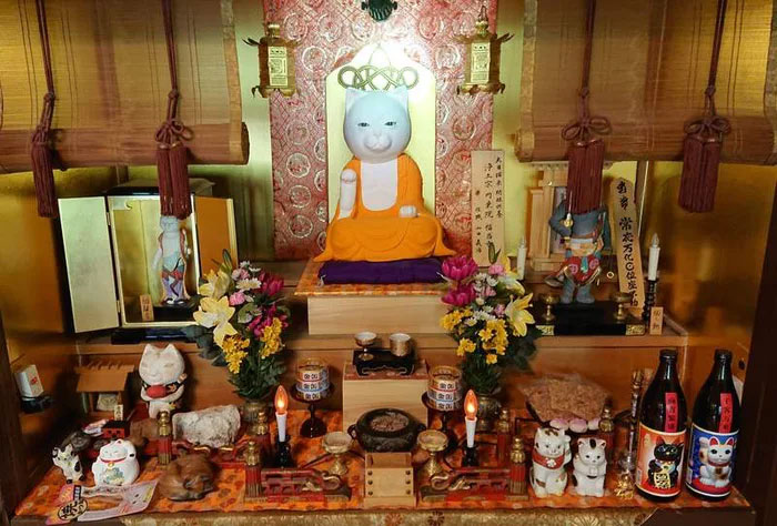 There Is A Cat Temple In Japan And Its Monks Are The Cutest There Is A Cat Temple In Japan And Its Monks Are The Cutest