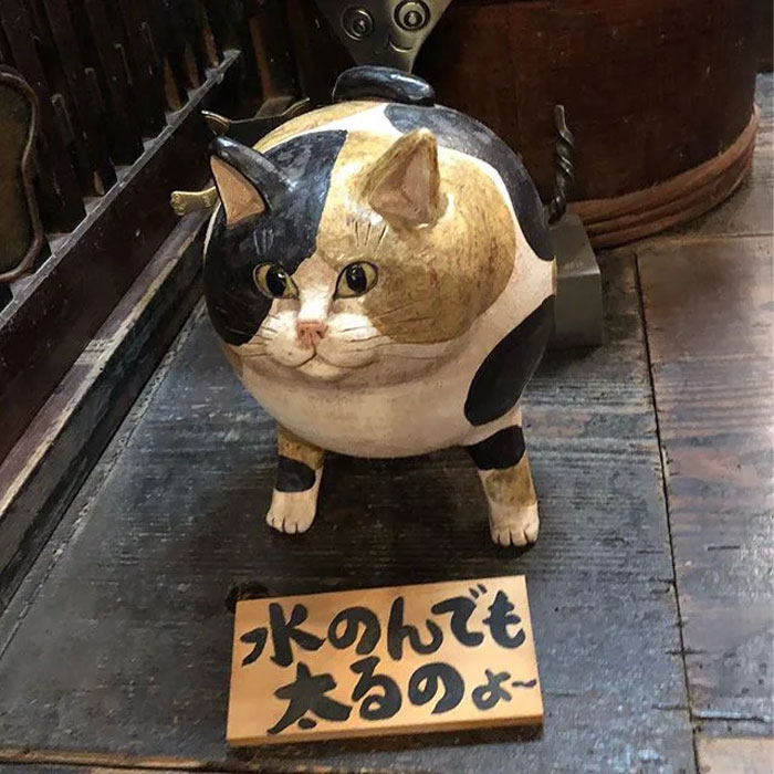 There Is A Cat Temple In Japan And Its Monks Are The Cutest There Is A Cat Temple In Japan And Its Monks Are The Cutest