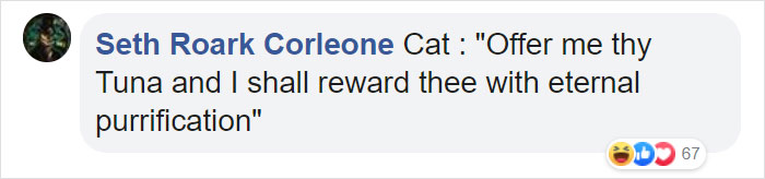 There Is A Cat Temple In Japan And Its Monks Are The Cutest