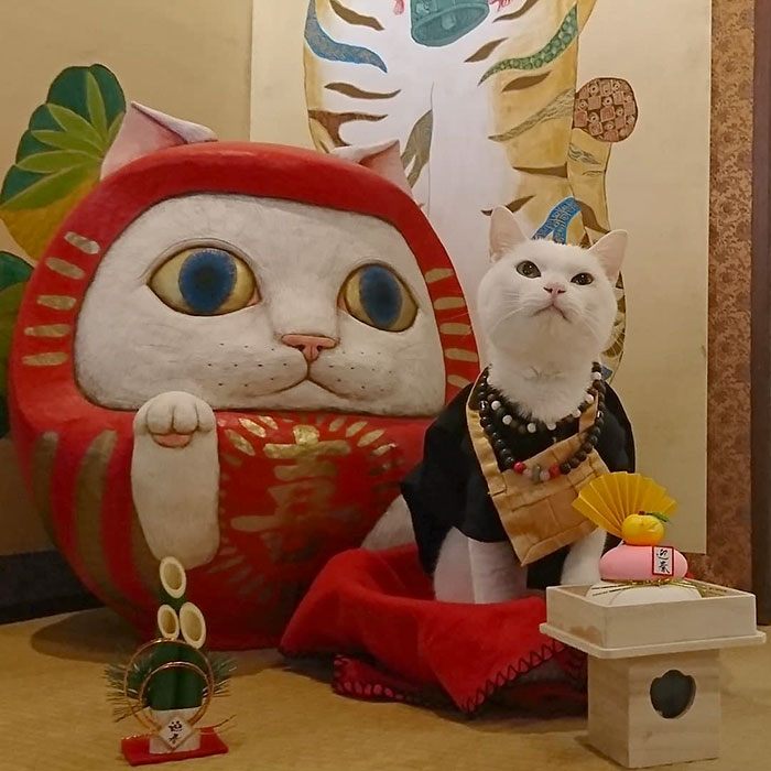 There Is A Cat Temple In Japan And Its Monks Are The Cutest