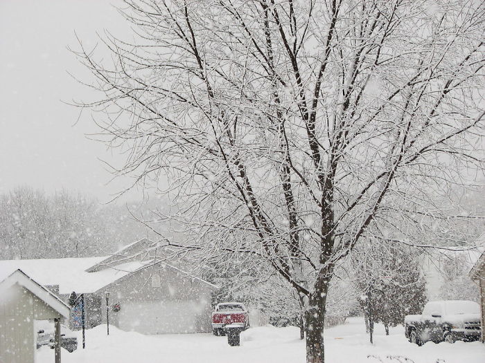 Eskimo Tribes, Such As The Inuit And Aleut, Do Not Have A Disproportionate Number Of Words Representing Snow In Their Languages