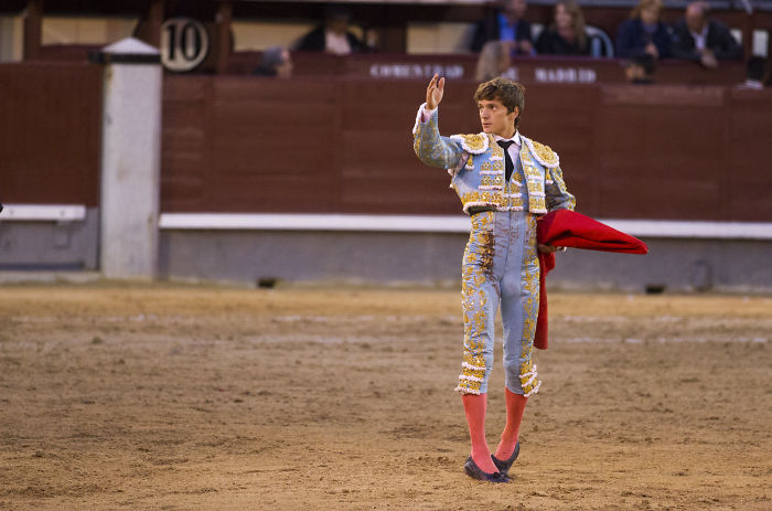 Bulls Are Not Enraged By The Color Red