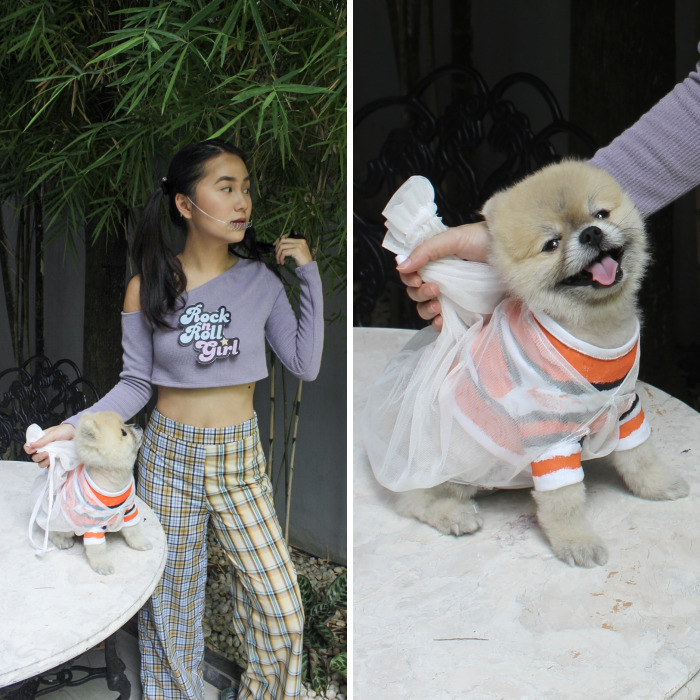 Doggo And Human Wear Pixar Themed Halloween Costumes