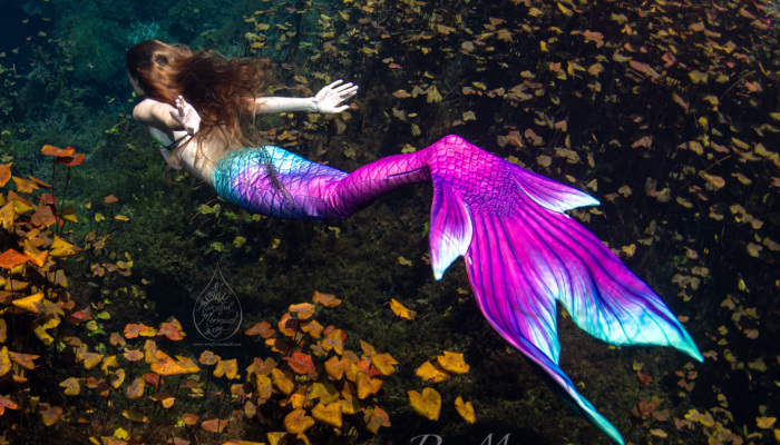 I Took Photos Of A Real Mermaid In An Enchanted Underwater Forest