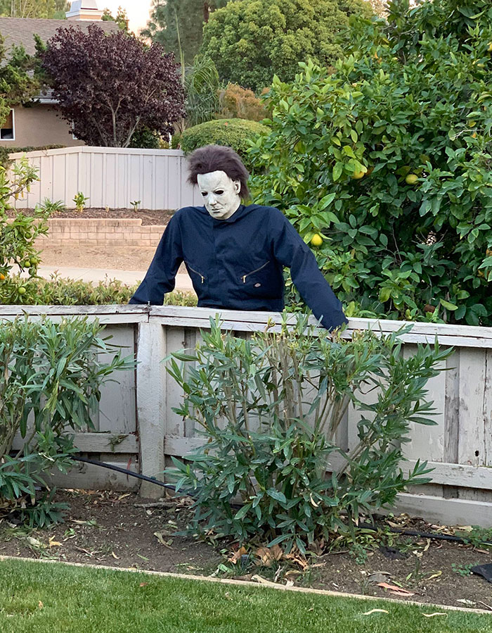 We Made A DIY Myers Dummy Using My Costume From Last Year, Some Pvc Pipe, And Some Reusable Shopping Bags For Stuffing