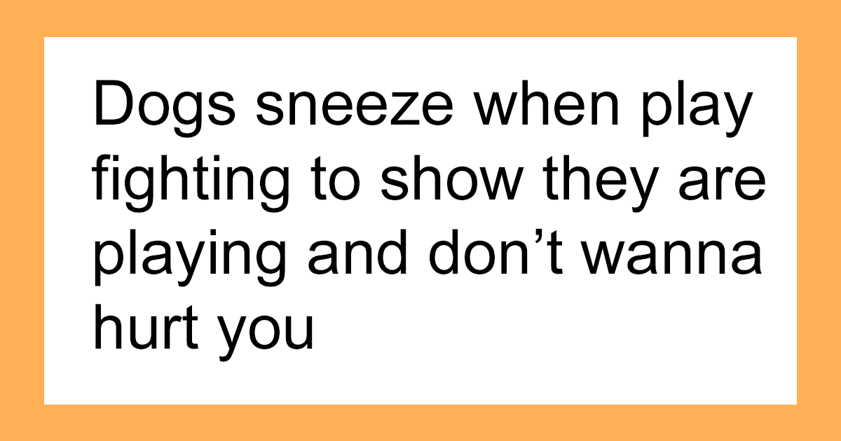 42 Interesting Animal Facts That You Can Throw Out In Casual Conversations