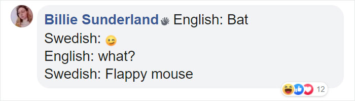 Different-Funny-Language-Meanings