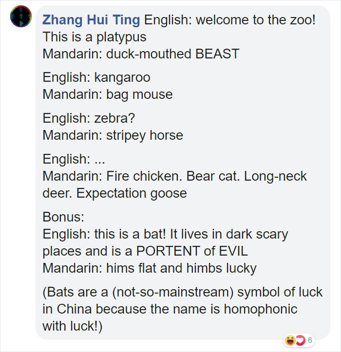 Different-Funny-Language-Meanings