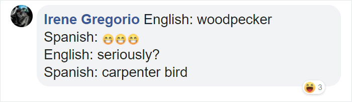 Different-Funny-Language-Meanings