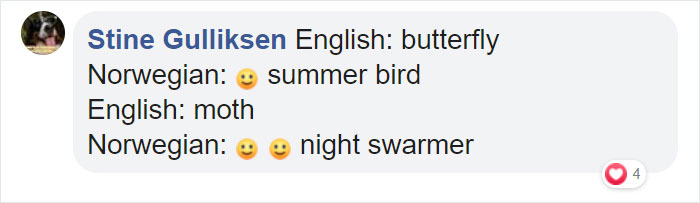 Different-Funny-Language-Meanings