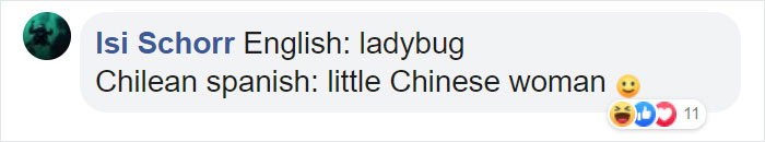 Different-Funny-Language-Meanings