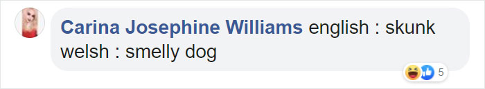 Different-Funny-Language-Meanings