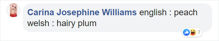 Different-Funny-Language-Meanings