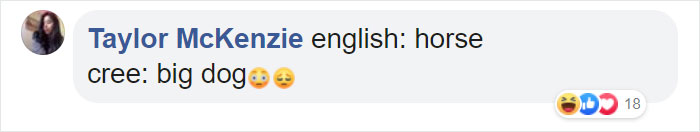 Different-Funny-Language-Meanings