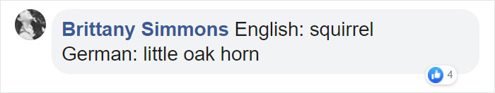 Different-Funny-Language-Meanings