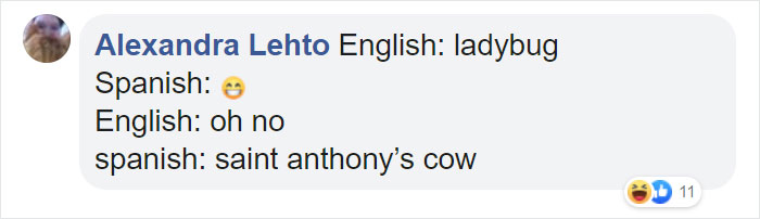 Different-Funny-Language-Meanings