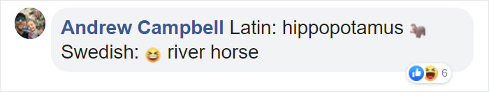 Different-Funny-Language-Meanings