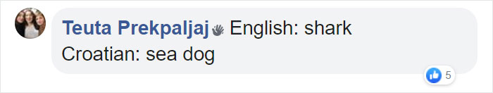 Different-Funny-Language-Meanings