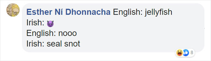 Different-Funny-Language-Meanings