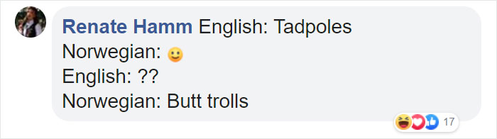 Different-Funny-Language-Meanings