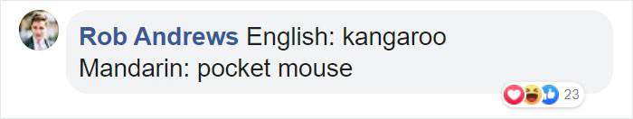 Different-Funny-Language-Meanings