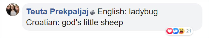 Different-Funny-Language-Meanings