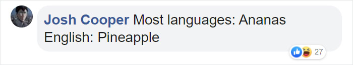 Different-Funny-Language-Meanings