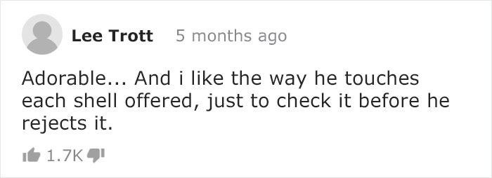 Diver Convinces Baby Octopus To Give Up His Plastic Cup In Exchange For A Shell