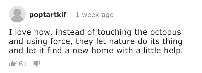 Diver Convinces Baby Octopus To Give Up His Plastic Cup In Exchange For A Shell