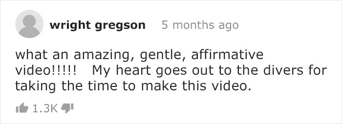 Diver Convinces Baby Octopus To Give Up His Plastic Cup In Exchange For A Shell