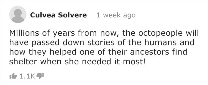 Diver Convinces Baby Octopus To Give Up His Plastic Cup In Exchange For A Shell