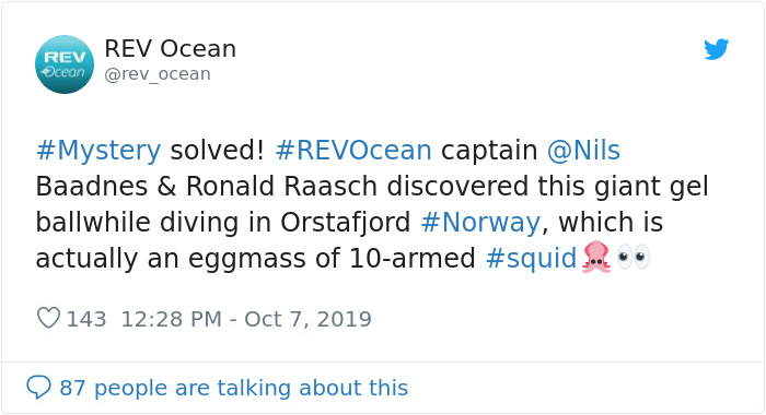 Two Divers Went To Check Out A WWII Ship Wreck, Stumbled Upon A Huge Squid Egg Sac Instead Two Divers Went To Check Out A WWII Ship Wreck, Stumbled Upon A Huge Squid Egg Sac Instead