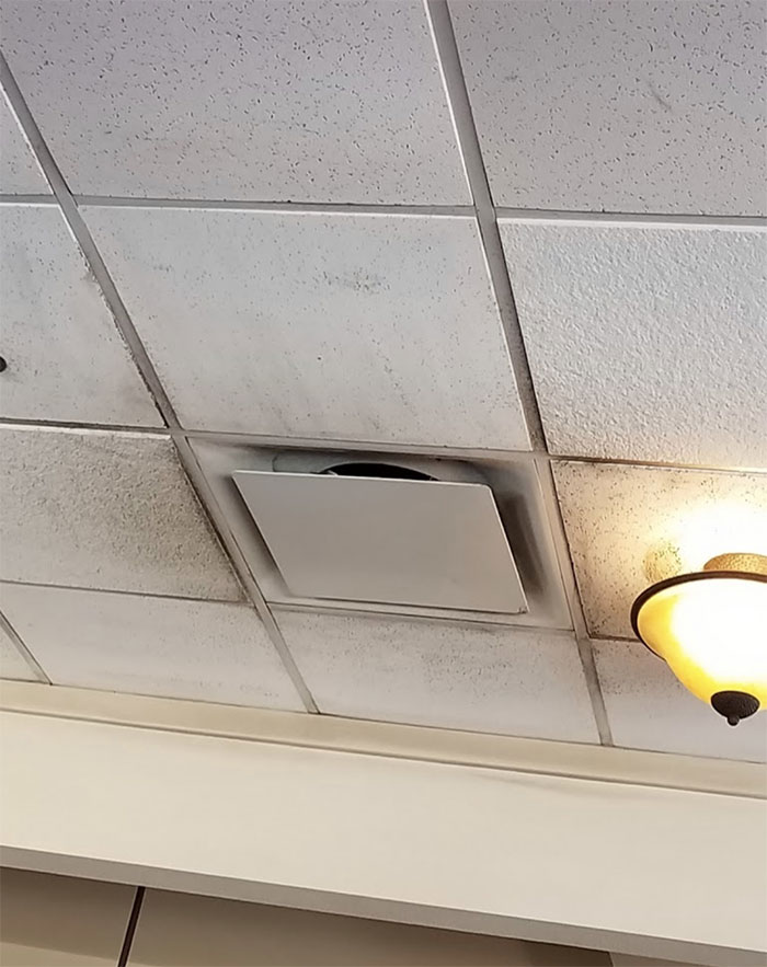 Person Gets Terminated While On Medical Leave, Takes Pics Of Violations In Restaurant And Shuts It Down Person Gets Terminated While On Medical Leave, Takes Pics Of Violations In Restaurant And Shuts It Down