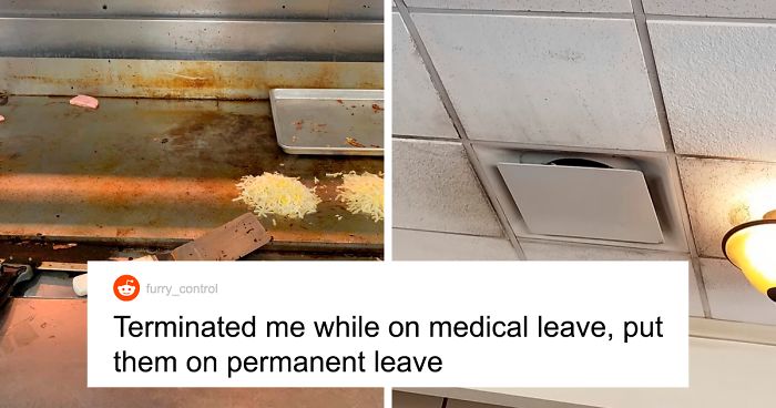 Person Gets Terminated While On Medical Leave, Takes Pics Of Violations In Restaurant And Shuts It Down
