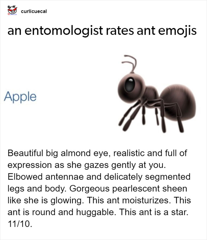 Entomologist Rates Ant Emojis Of Different Brands And Their Descriptions Are Hilarious Entomologist Rates Ant Emojis Of Different Brands And Their Descriptions Are Hilarious