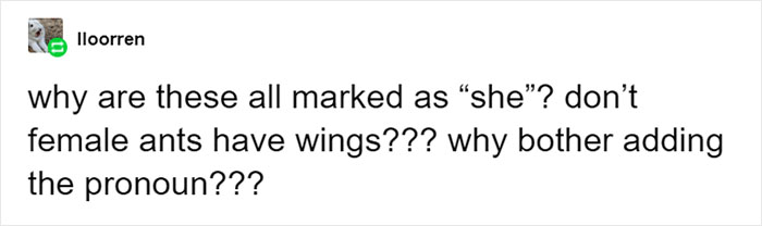 Entomologist Rates Ant Emojis Of Different Brands And Their Descriptions Are Hilarious