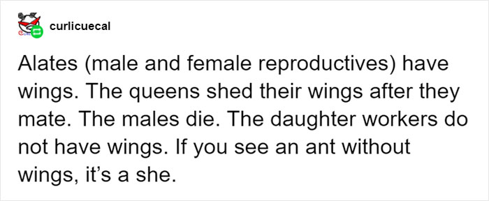 Entomologist Rates Ant Emojis Of Different Brands And Their Descriptions Are Hilarious Entomologist Rates Ant Emojis Of Different Brands And Their Descriptions Are Hilarious