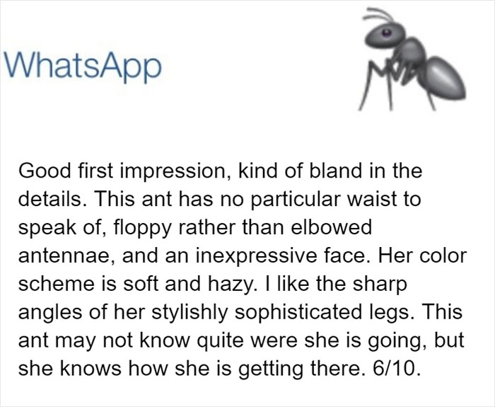 Entomologist Rates Ant Emojis Of Different Brands And Their Descriptions Are Hilarious Entomologist Rates Ant Emojis Of Different Brands And Their Descriptions Are Hilarious