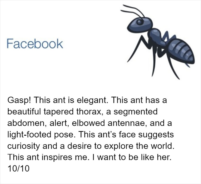 Entomologist Rates Ant Emojis Of Different Brands And Their Descriptions Are Hilarious Entomologist Rates Ant Emojis Of Different Brands And Their Descriptions Are Hilarious