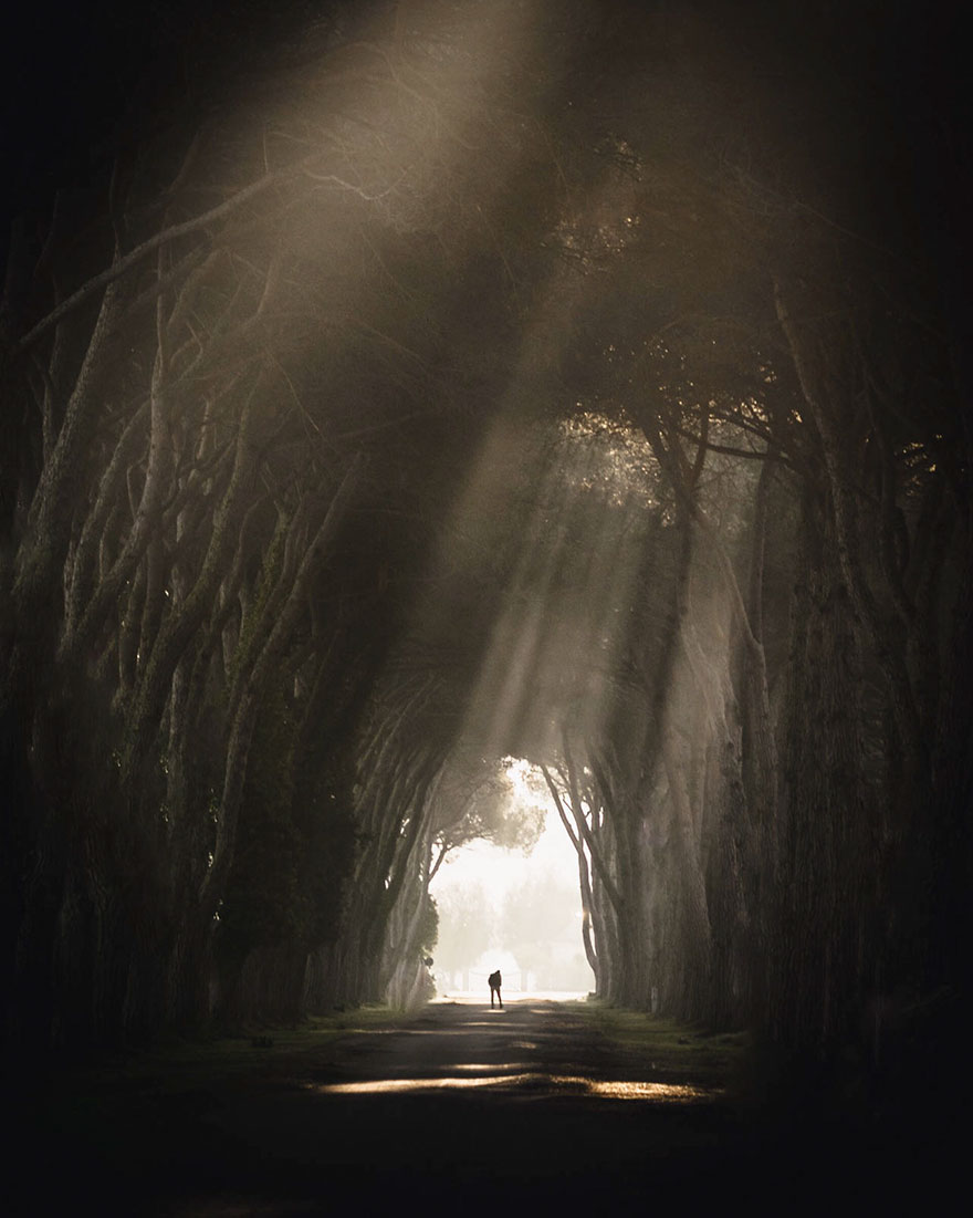 Jewgenia Rücker, The Great Outdoors Category