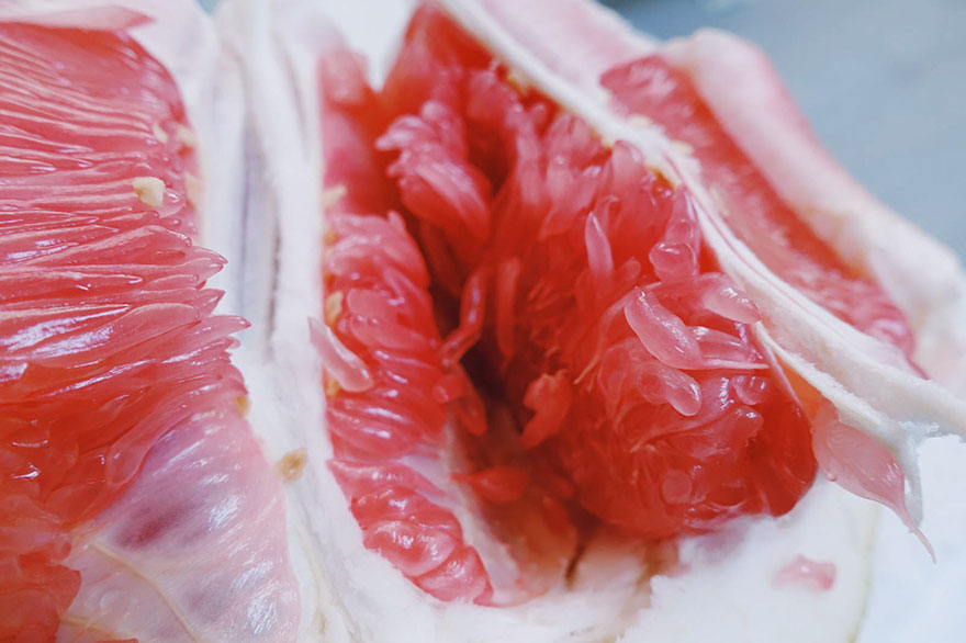 Yin Jiang, The Foodie Category