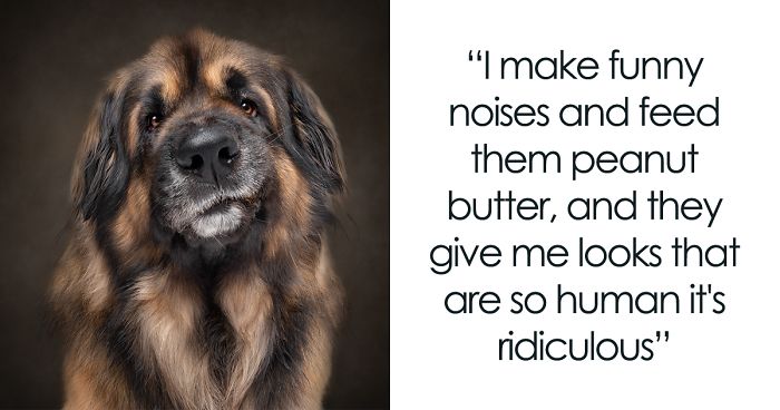 I Made Funny Noises At Animals And Captured Their Funny Expressions (21 Pics)