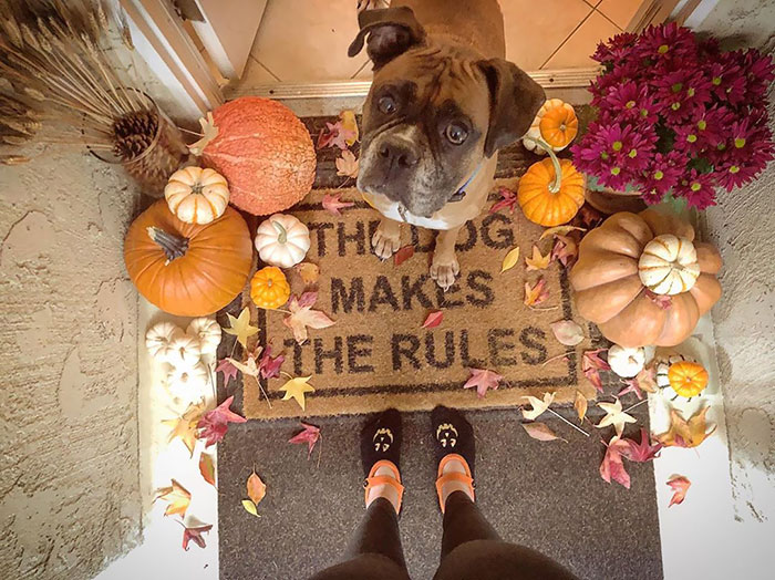 It's Starting To Look A Bit Like Fall Around Here