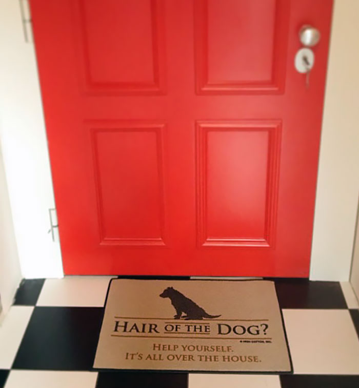 Can't Say You Weren't Warned