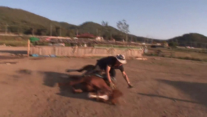 Dramatic Horse Pretends To Be Dead Whenever People Try To Ride Him Dramatic Horse Pretends To Be Dead Whenever People Try To Ride Him