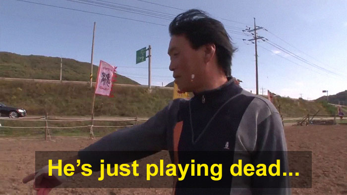 Dramatic Horse Pretends To Be Dead Whenever People Try To Ride Him