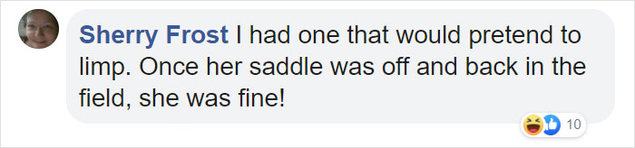 Dramatic Horse Pretends To Be Dead Whenever People Try To Ride Him Dramatic Horse Pretends To Be Dead Whenever People Try To Ride Him
