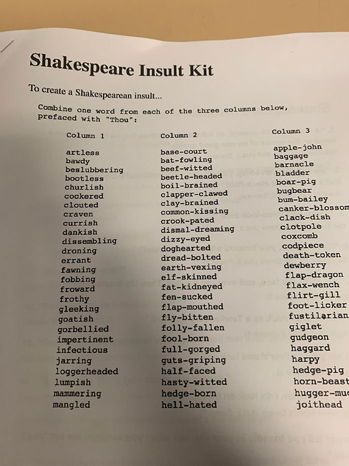 Our Teacher Told Us To Get In Groups And Practice Theses Shakespearean Insults, I Love English A Lot More